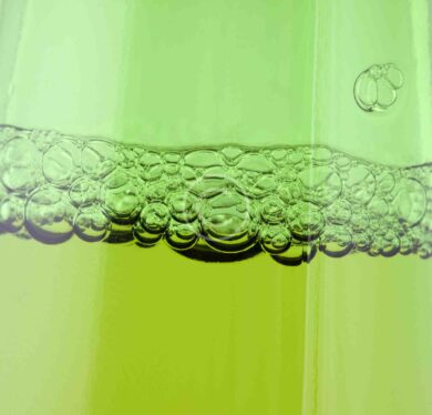 Exclusive, Fresh & Clean Stockvault Green is Now Available