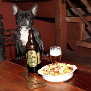 O Santíssima Cervejaria tem Mascote !